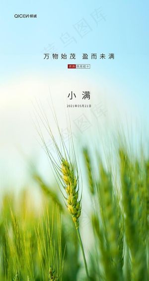 小满图片
