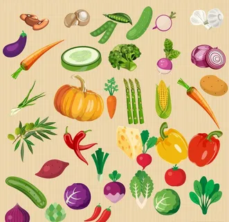 各种蔬菜图片素材