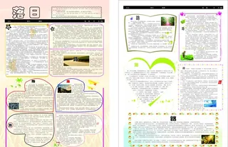 校园报纸 报刊 作文报图片