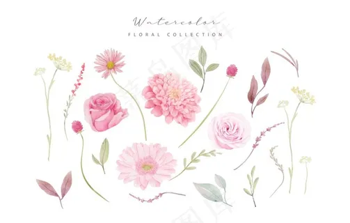水彩花朵图片