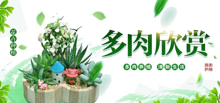 多肉植物绿植活动宣传海报素材图片