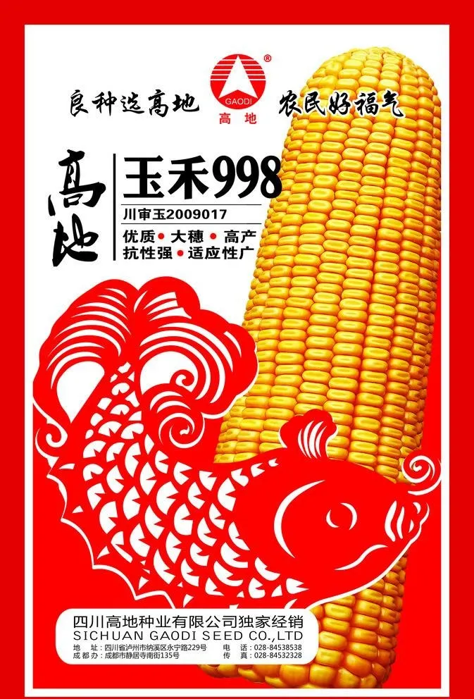 玉米海报图片(6803x10346)psd模版下载