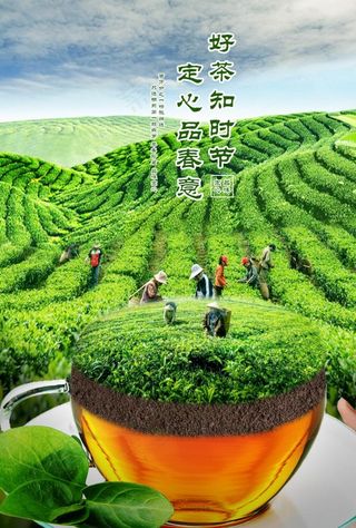 茶叶海报图片