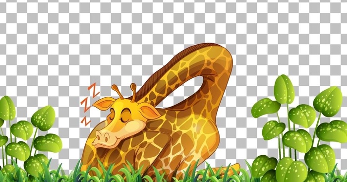 卡通动物  图片