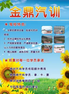 驾校彩页图片