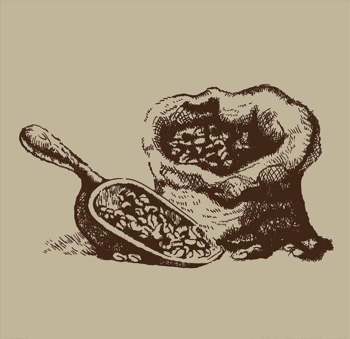 手绘咖啡豆图片