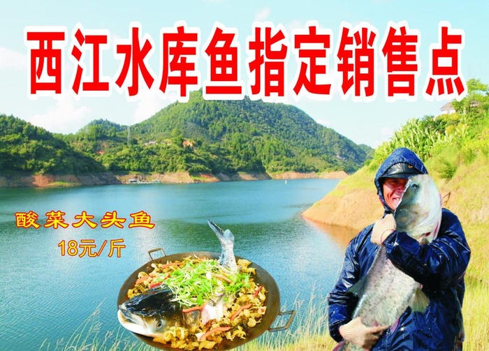 水库鱼图片cdr矢量模版下载