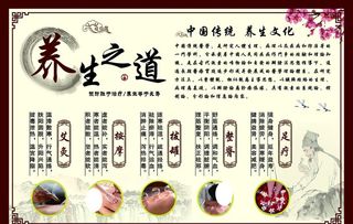 养生之道图片