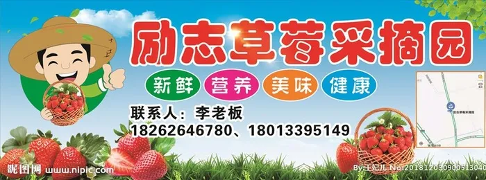 草莓采摘园图片