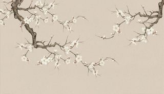 花鸟画 手绘画鸟 梅花 背景墙图片