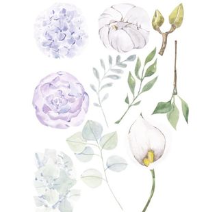 水彩花卉图片