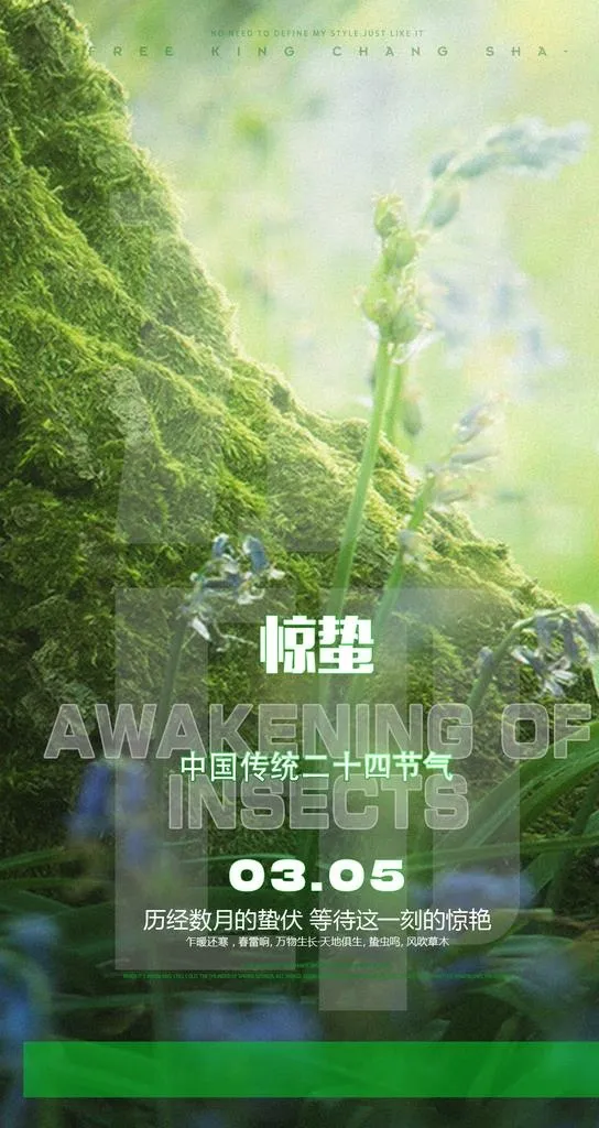 惊蛰图片(1080x1920)psd模版下载