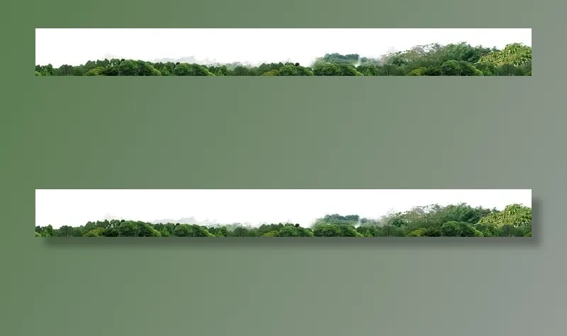 成品树林素材图片(2189x278)psd模版下载