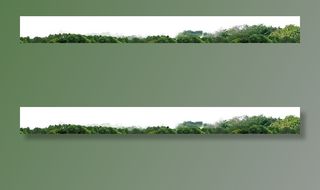 成品树林素材图片