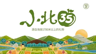 水果礼盒设计图片