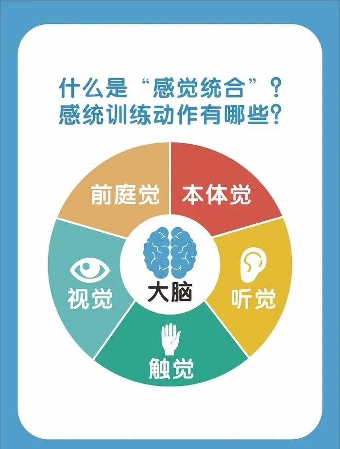 什么是感觉统合图片cdr矢量模版下载