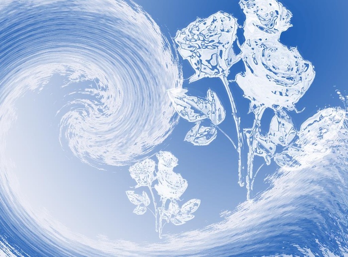 透明玫瑰花图片(1300x1000)psd模版下载