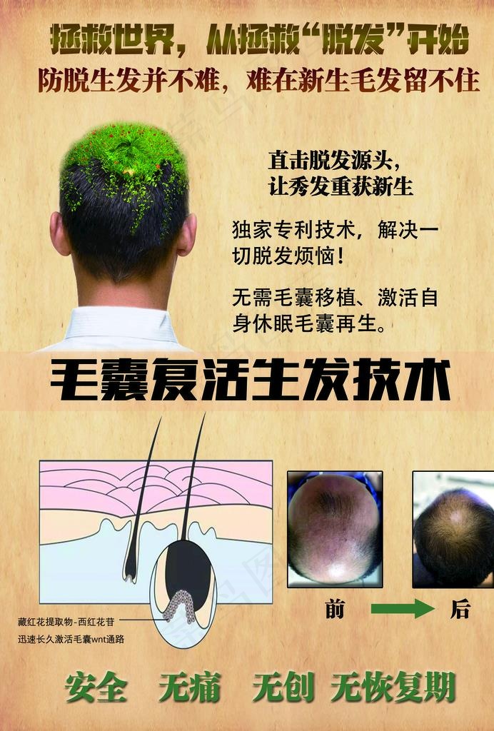 植发海报图片psd模版下载