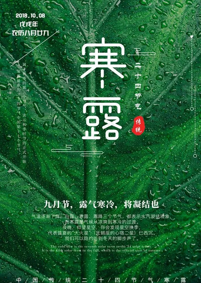 寒露图片(3425x4961)psd模版下载