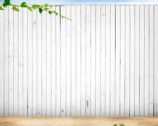 白木板  白墙 图片