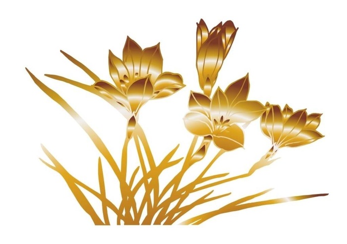矢量金色花朵图片
