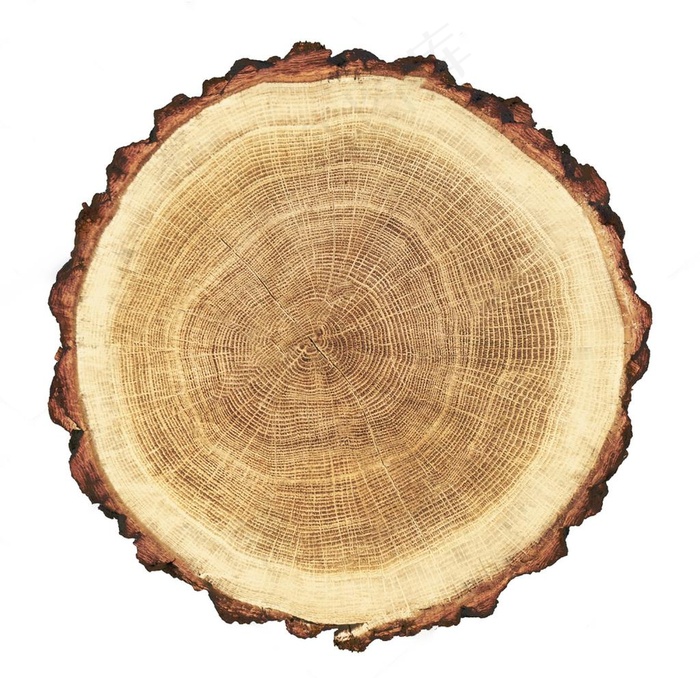 圆木桩图片