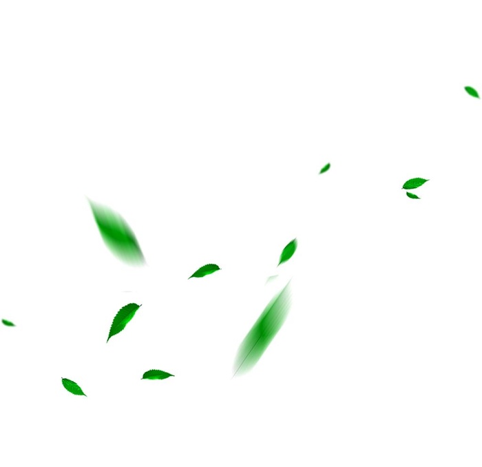 飘落的叶子图片