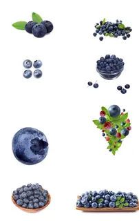 蓝莓素材图片
