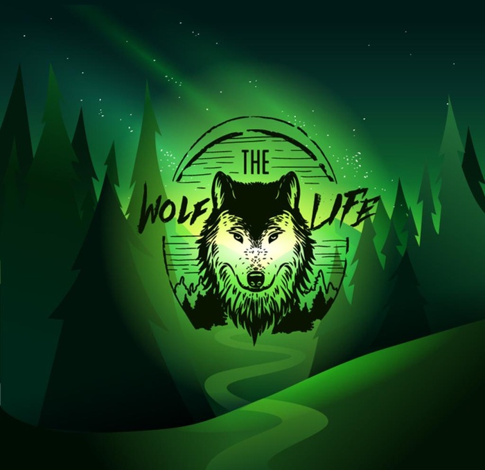 狼标志山谷风景图片