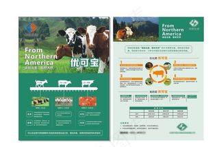 牛羊宣传单图片