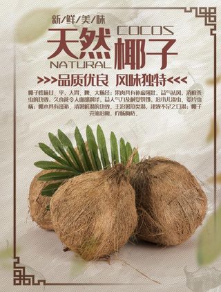 椰子海报 天然椰子图片