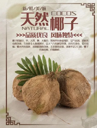 椰子海报 天然椰子图片
