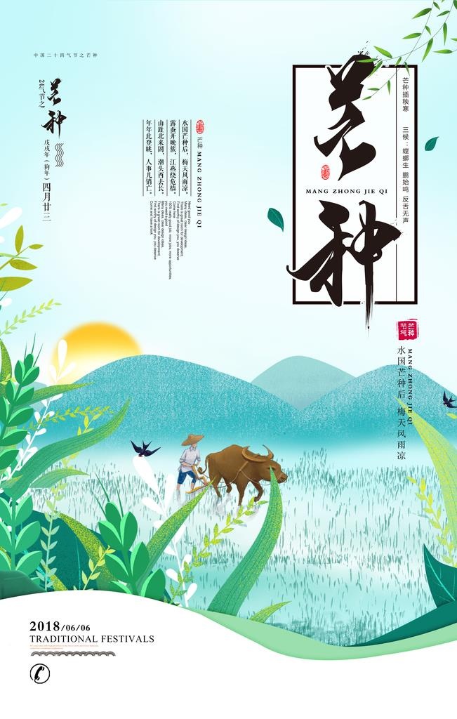 芒种海报图片