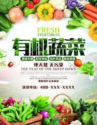 有机蔬菜海报图片