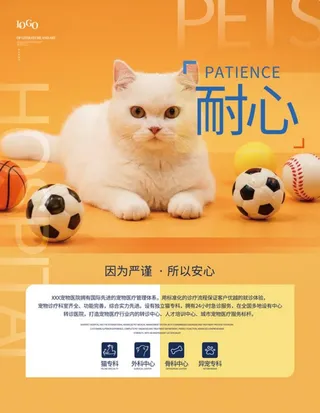 宠物店宠物医院海报图片