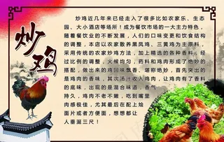 炒鸡图片
