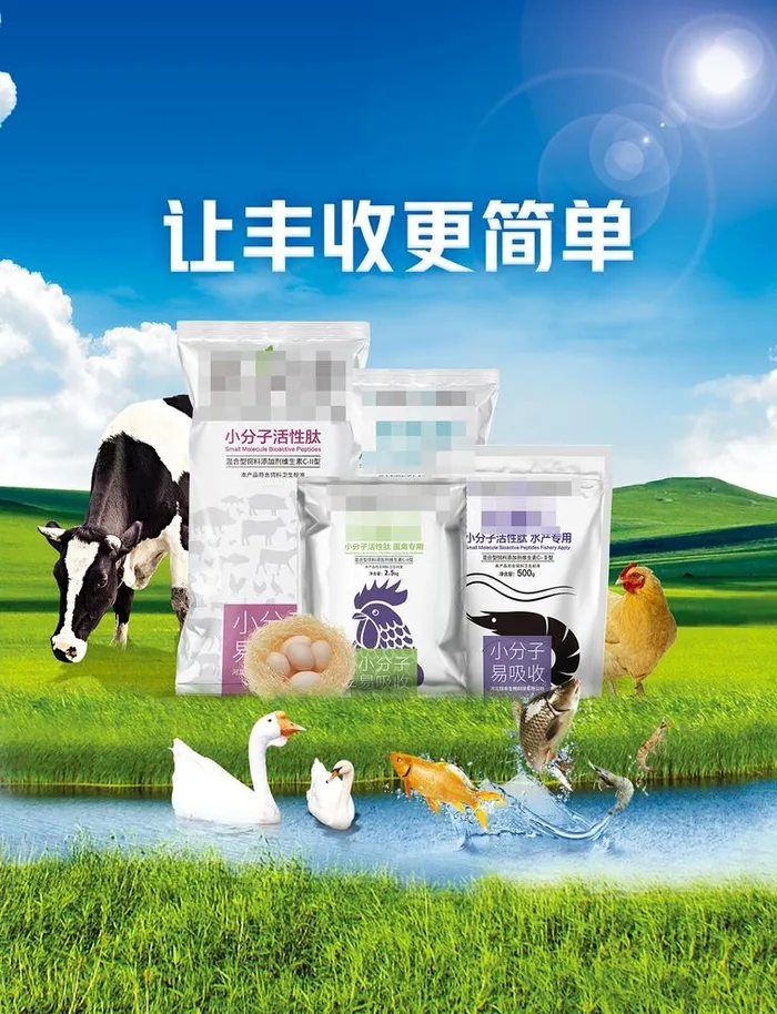饲料产品宣传海报广告图片(2551x3437)