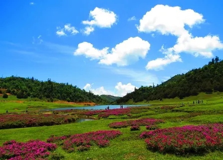 云龙志奔山风光图片