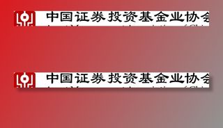 中国证券投资基金业协会图片