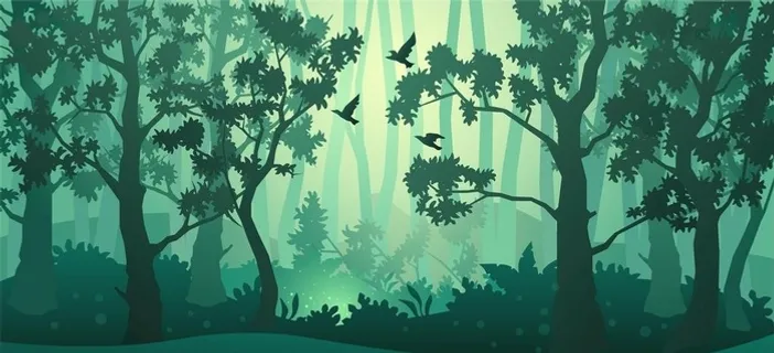 森林背景图片