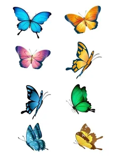 手绘矢量蝴蝶元素图片