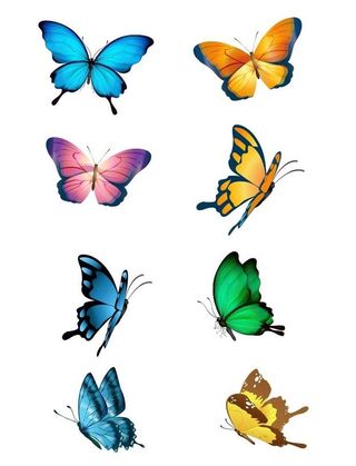 手绘矢量蝴蝶元素图片