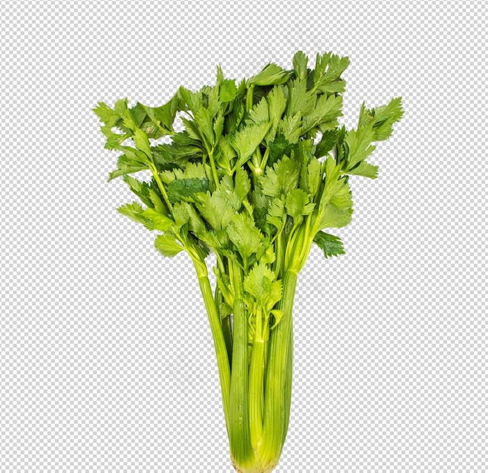 芹菜图片