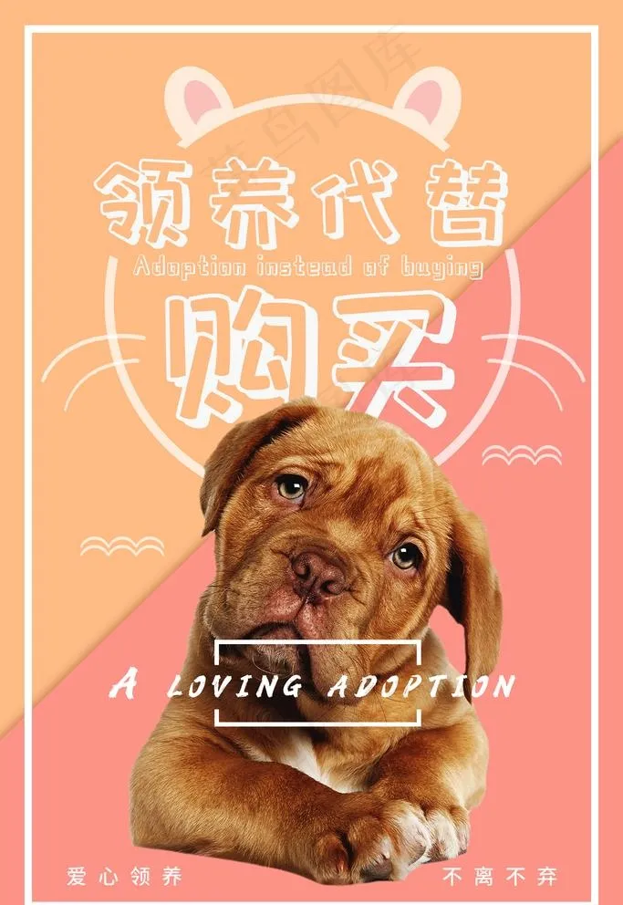 领养宠物图片psd模版下载