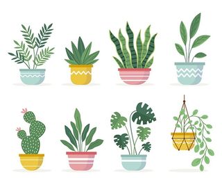 手绘卡通盆栽矢量图片