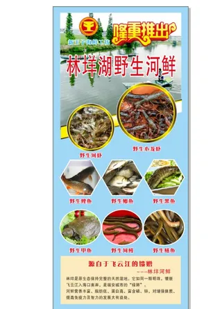 河鲜展架图片