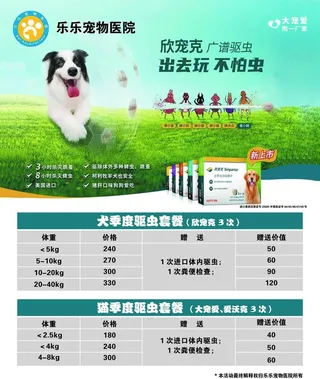 宠物驱虫海报图片