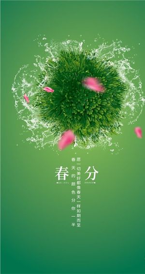 春分 复活草图片