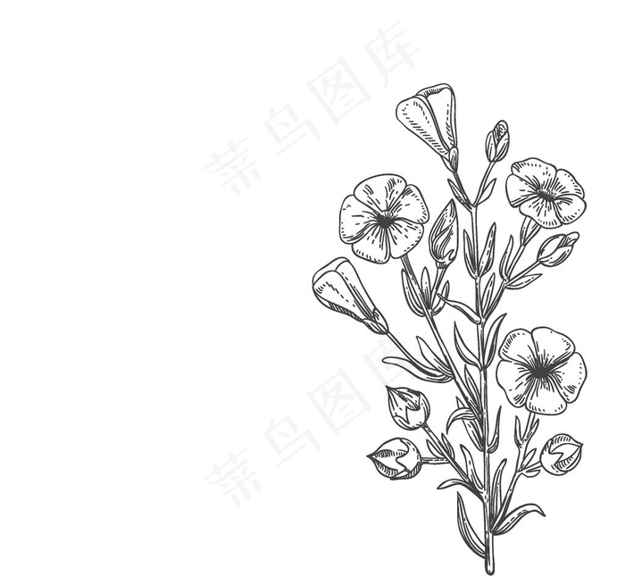 亚麻籽图片