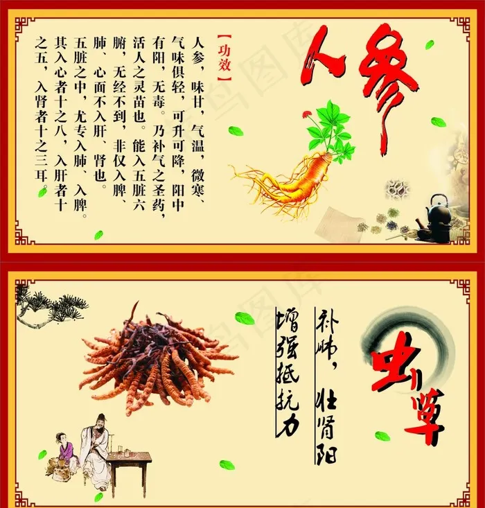 中药 人参 虫草 海报图片cdr矢量模版下载